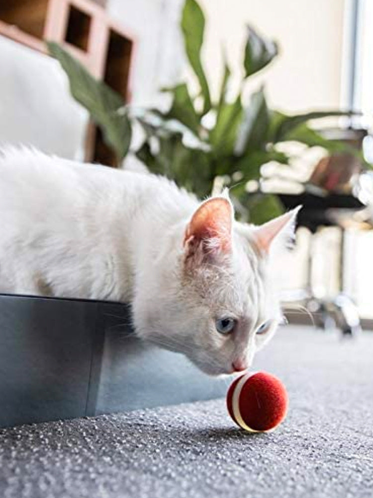 Smart Pet Products For Playing Cat Balls - clickit2shipit