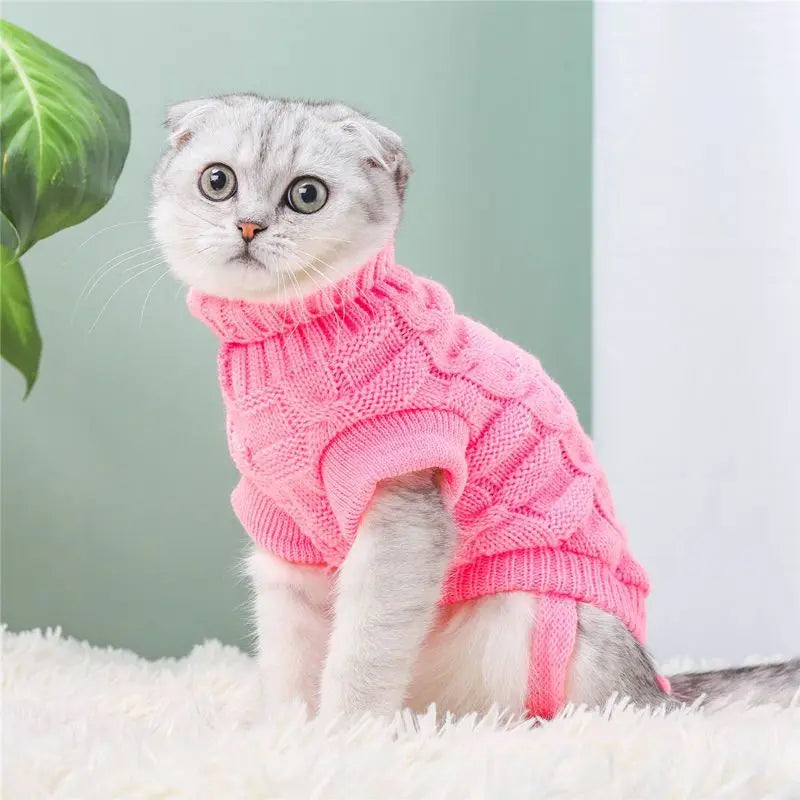 Cat Clothes Cat Pet Supplies Autumn Winter Knitted Sweater Cute Net Red - clickit2shipit