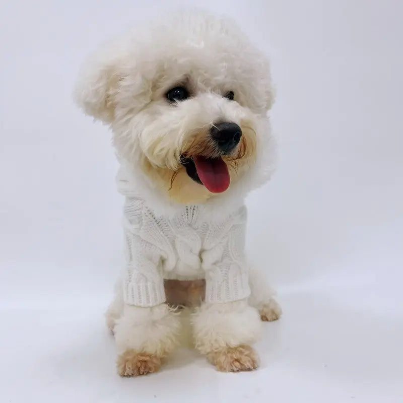 Autumn And Winter Knitting Warm Sweater - clickit2shipit