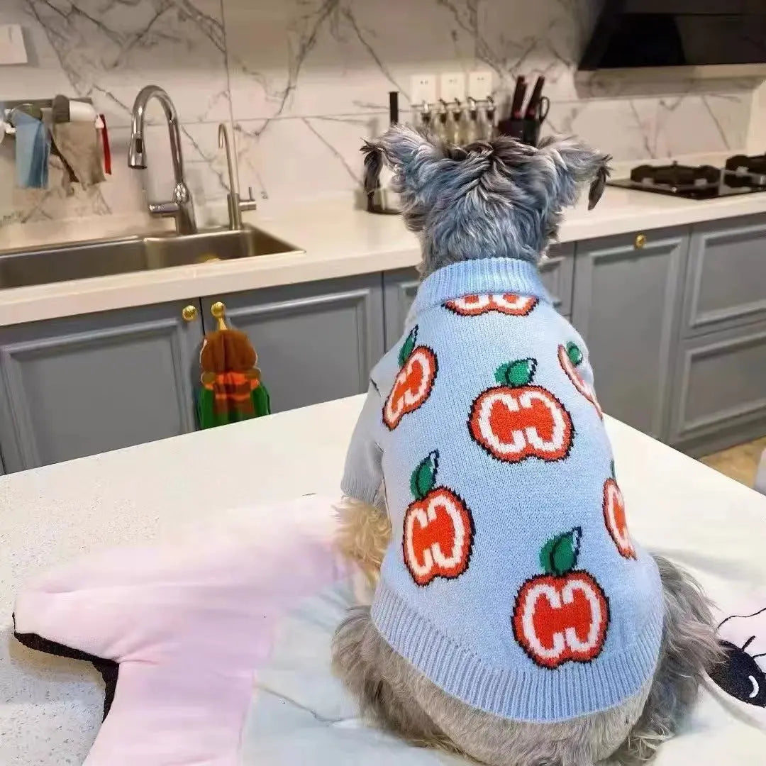 Padded Sweater For Dogs And Cats - clickit2shipit